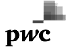 /new-index/trusted-by/oversea/pwc_grayscale@2x.png